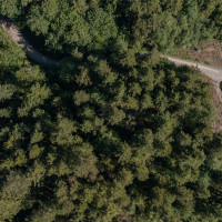 999 Sugar Hill Road, Chimacum, WA 98325