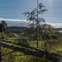 999 Sugar Hill Road, Chimacum, WA 98325