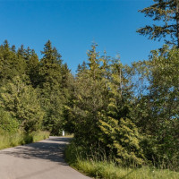 999 Sugar Hill Road, Chimacum, WA 98325