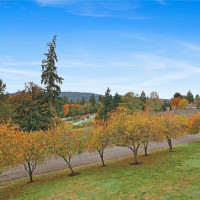 22551 SE 42nd Court, Issaquah, WA 98029