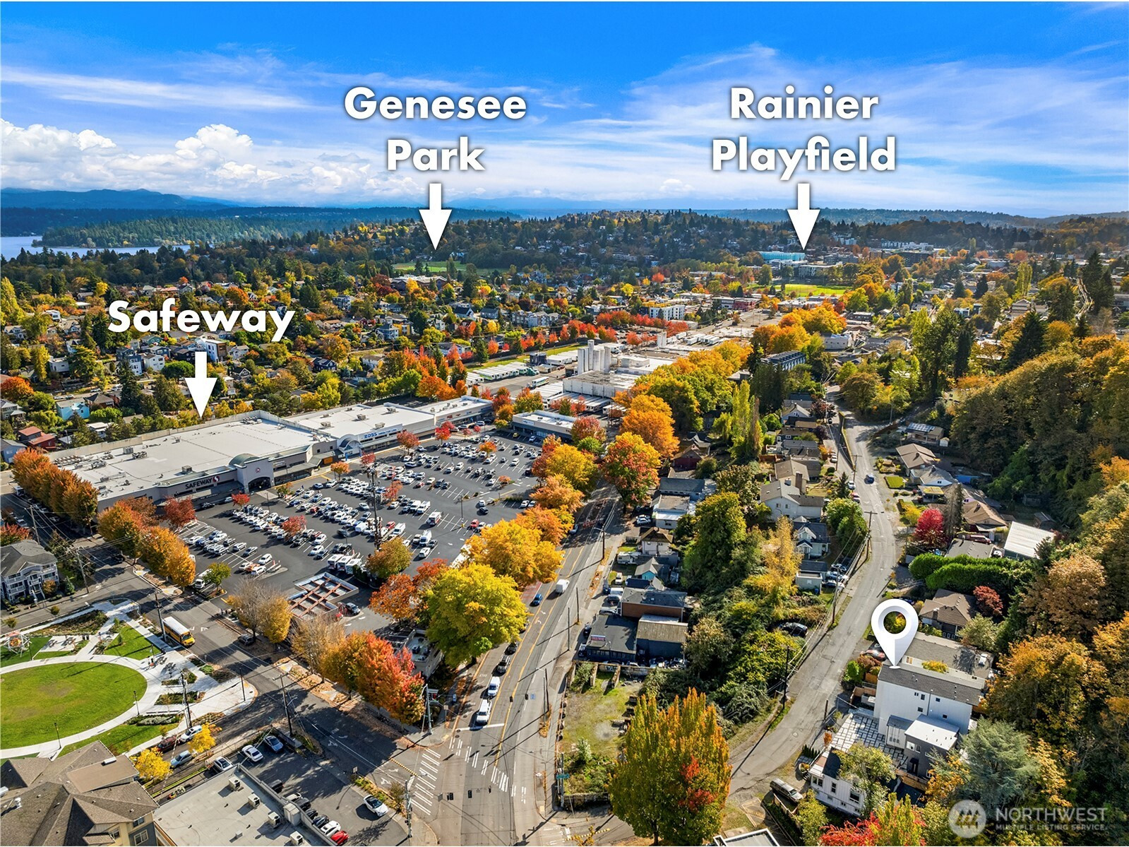 3821 Letitia Avenue S, Seattle, WA 98118