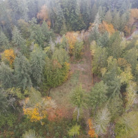 16456 Hoff Road NW, Lakebay, WA 98349