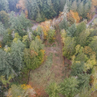 16456 Hoff Road NW, Lakebay, WA 98349