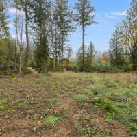 16456 Hoff Road NW, Lakebay, WA 98349