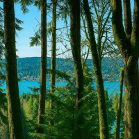 180 XX SE 60th St, Issaquah, WA 98027