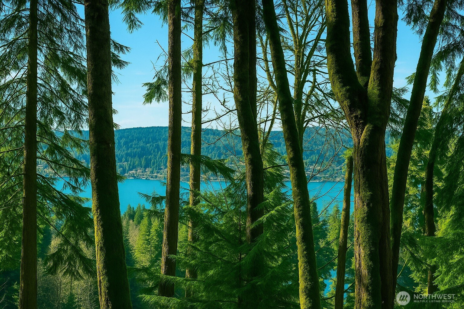 180 XX SE 60th St, Issaquah, WA 98027