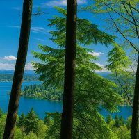 180 XX SE 60th St, Issaquah, WA 98027