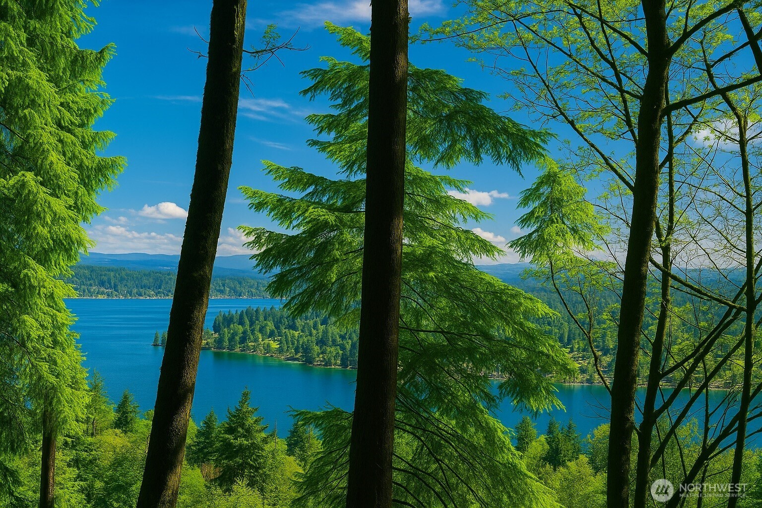 180 XX SE 60th St, Issaquah, WA 98027