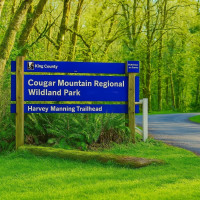 180 XX SE 60th St, Issaquah, WA 98027