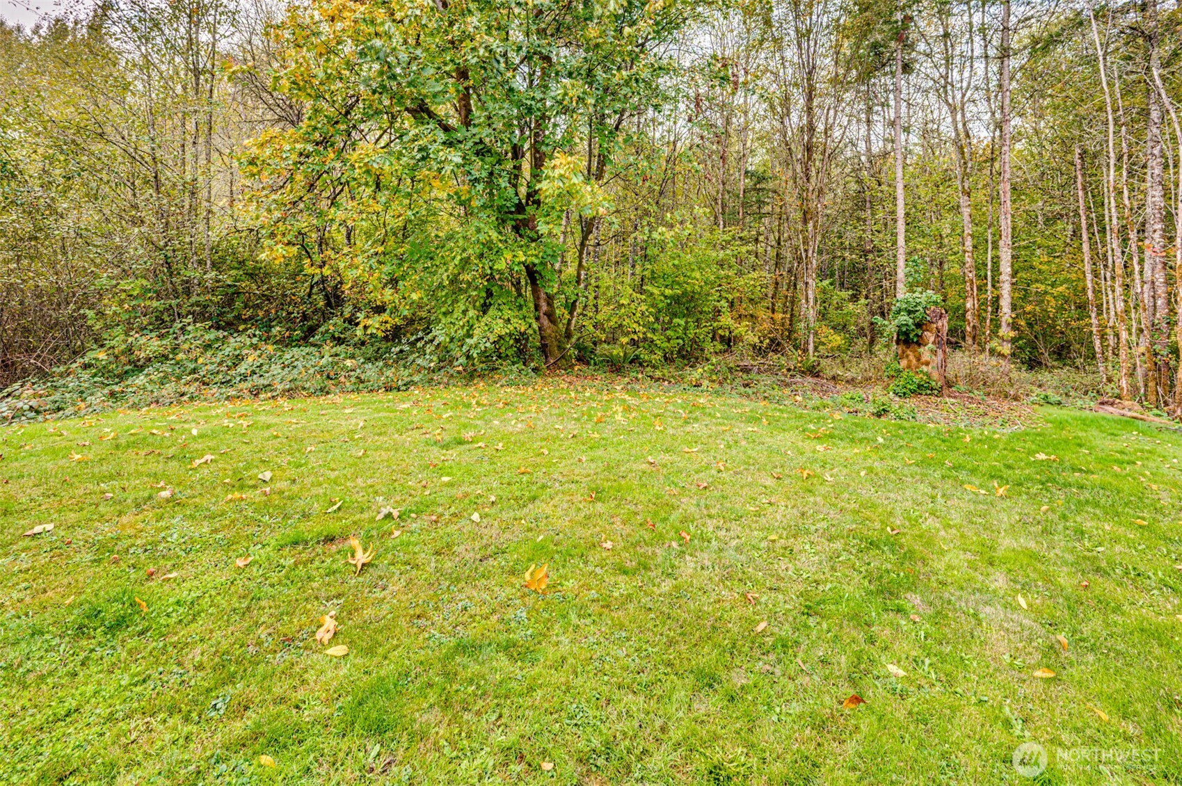 3009 NW 9th Street, Battle Ground, WA 98604