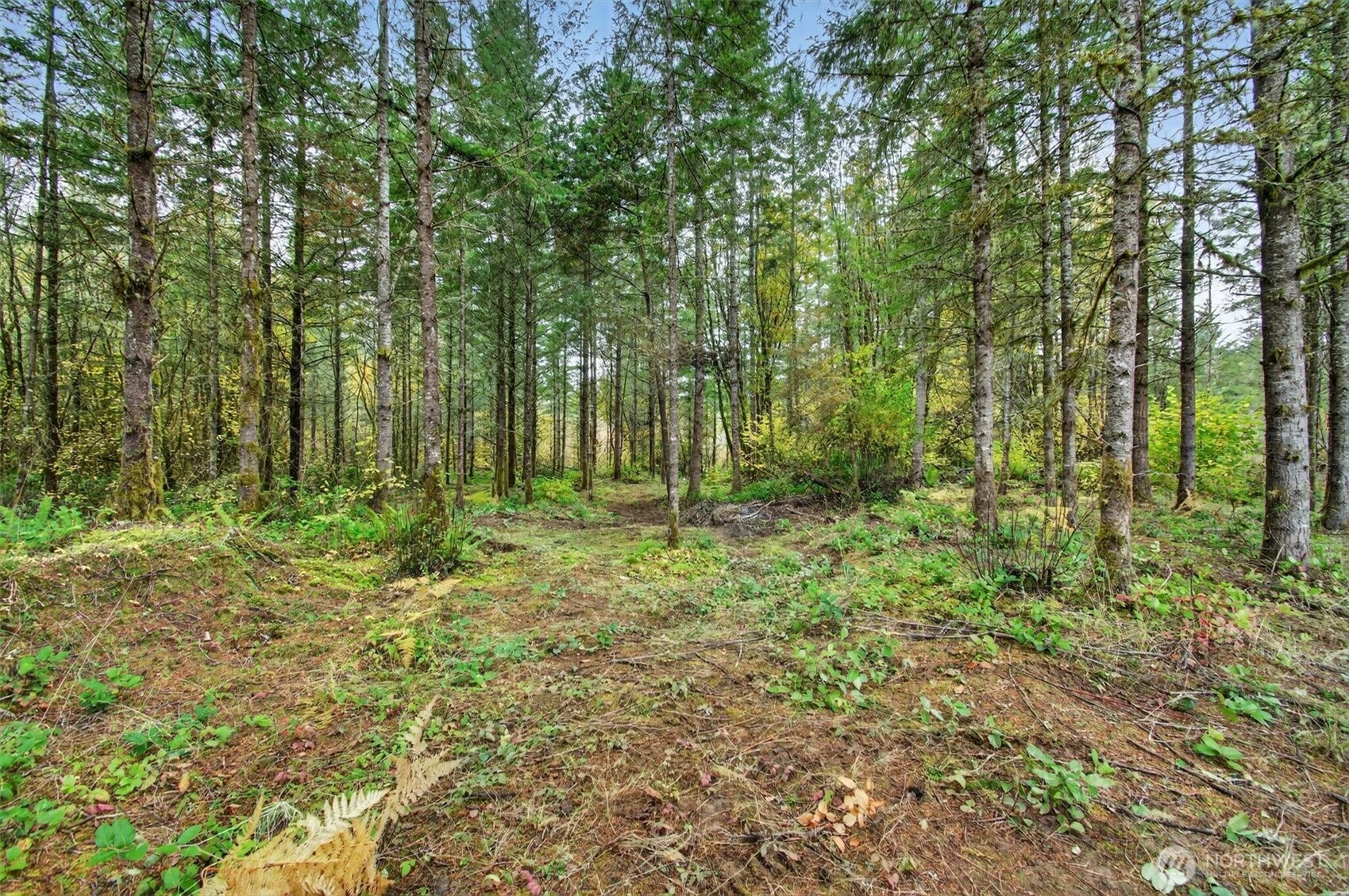 131 Kuty Drive, Toledo, WA 98951