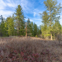 0 Lot 30 E North park Lane, Deer Park, WA 99006