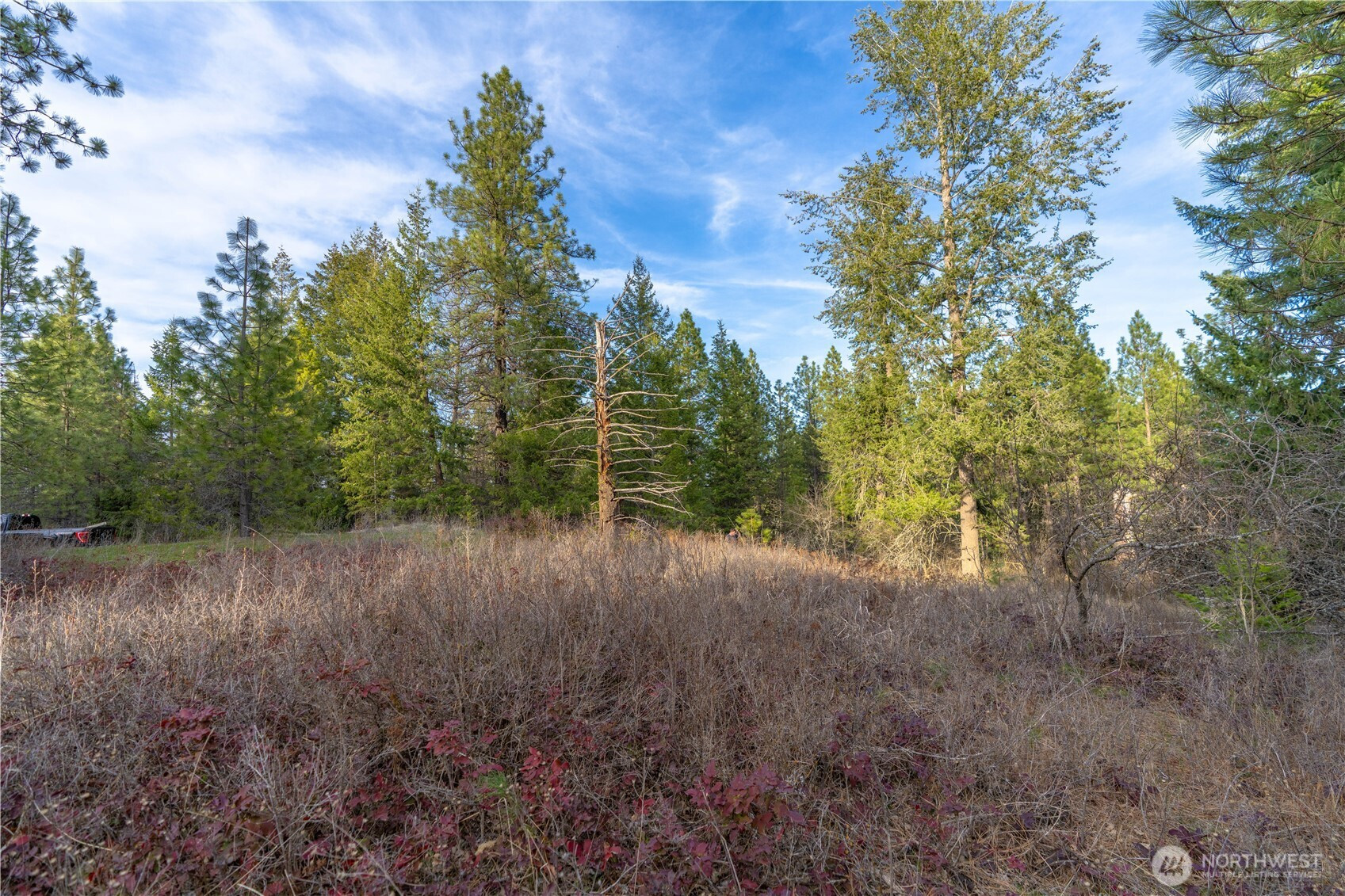 0 Lot 30 E North park Lane, Deer Park, WA 99006