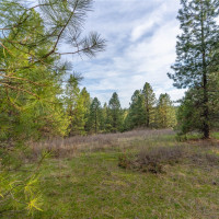 0 Lot 30 E North park Lane, Deer Park, WA 99006