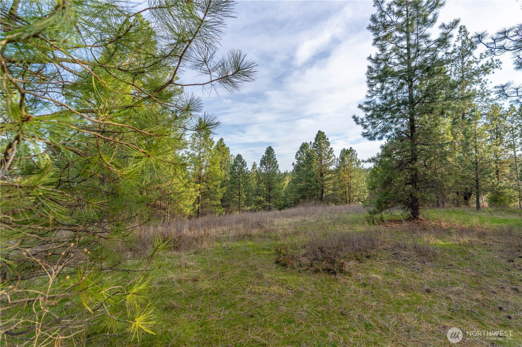 0 Lot 30 E North park Lane, Deer Park, WA 99006