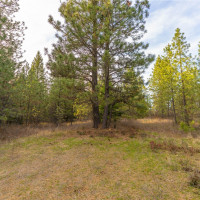 0 Lot 30 E North park Lane, Deer Park, WA 99006