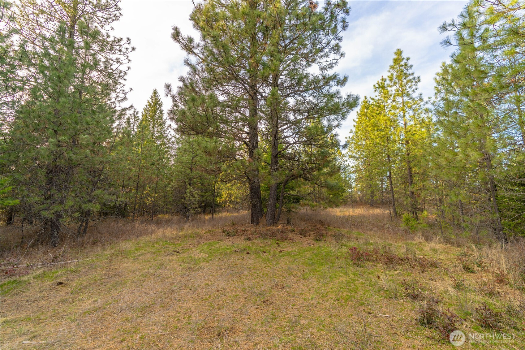 0 Lot 30 E North park Lane, Deer Park, WA 99006