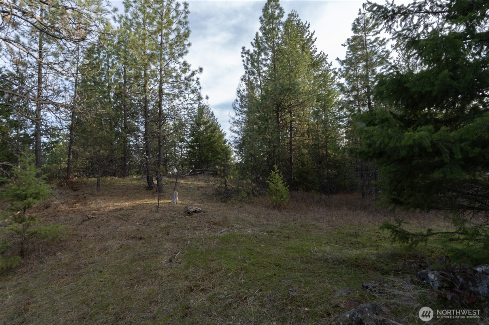 0 Lot 30 E North park Lane, Deer Park, WA 99006