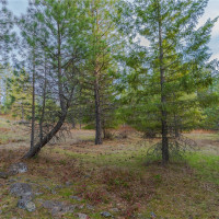 0 Lot 30 E North park Lane, Deer Park, WA 99006