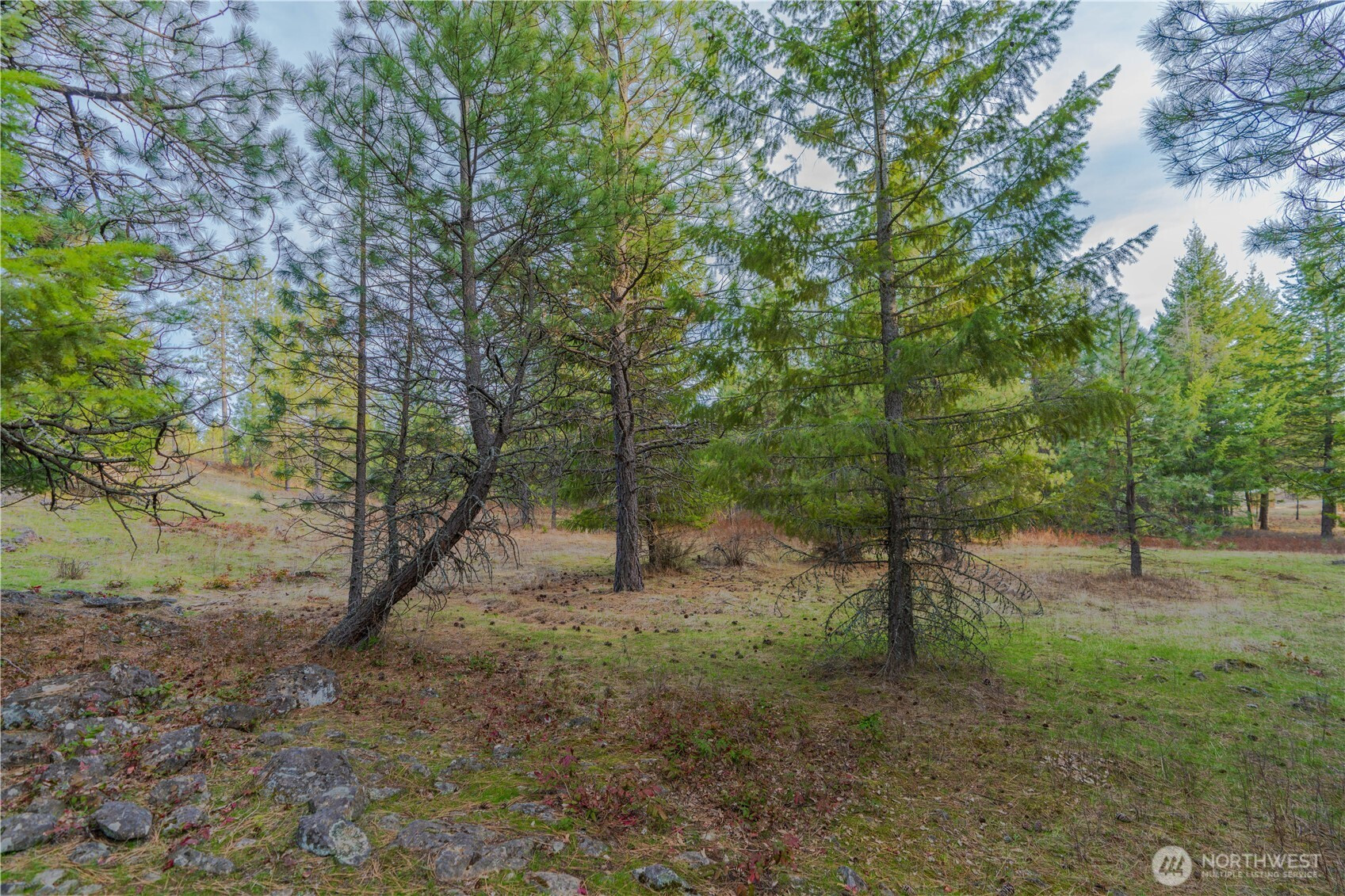 0 Lot 30 E North park Lane, Deer Park, WA 99006