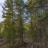 0 Lot 30 E North park Lane, Deer Park, WA 99006