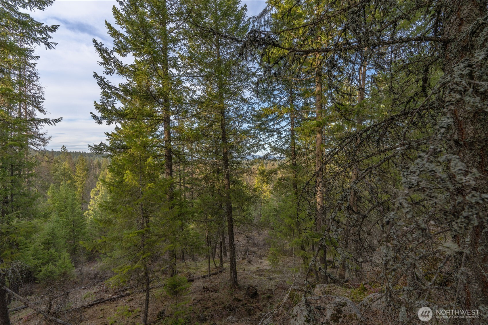 0 Lot 30 E North park Lane, Deer Park, WA 99006