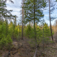 0 Lot 30 E North park Lane, Deer Park, WA 99006