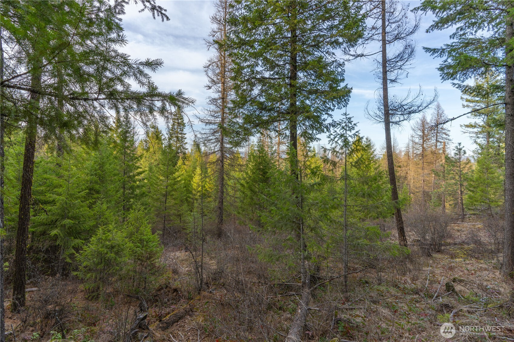 0 Lot 30 E North park Lane, Deer Park, WA 99006