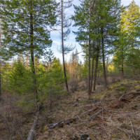 0 Lot 30 E North park Lane, Deer Park, WA 99006