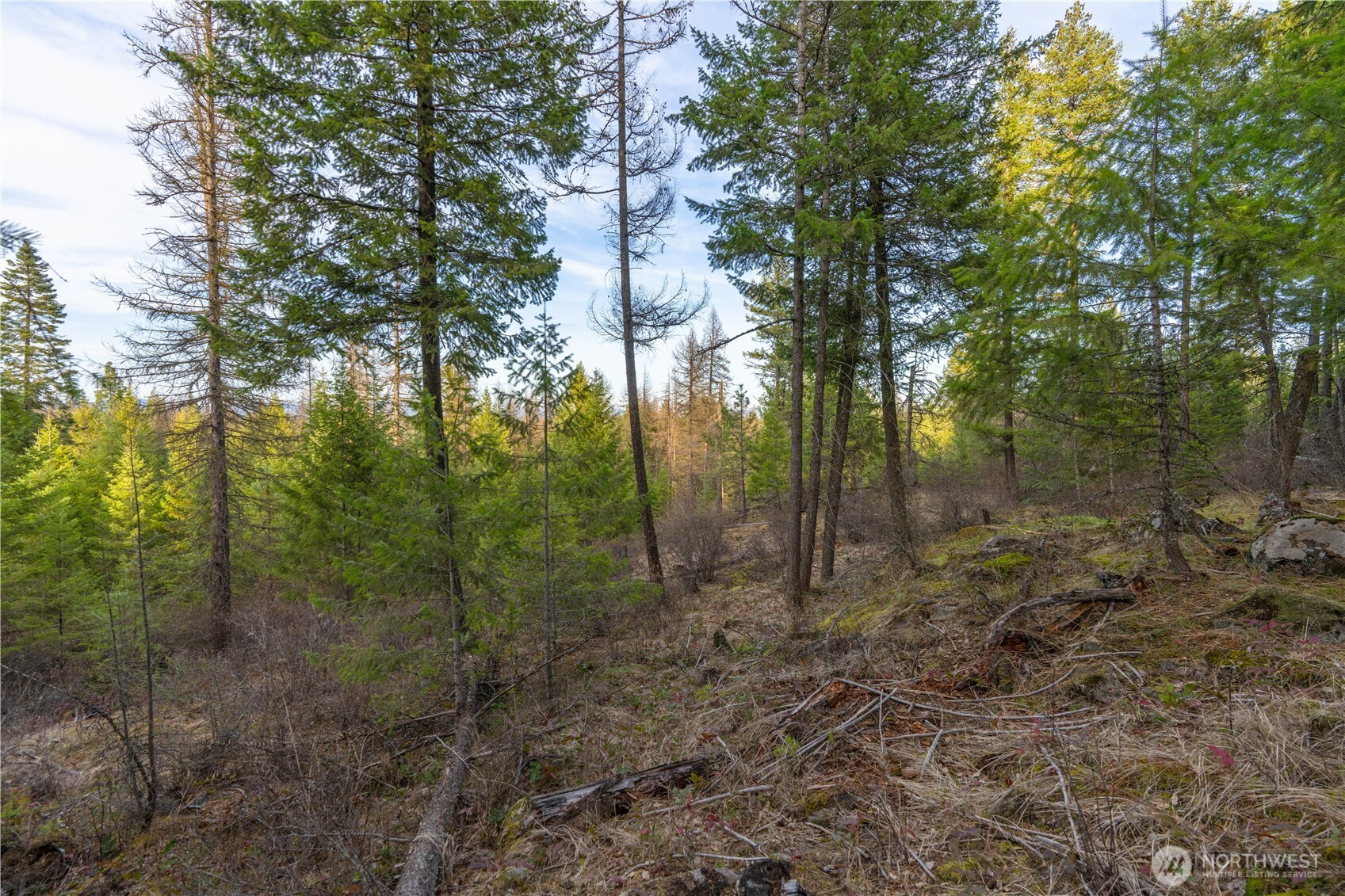 0 Lot 30 E North park Lane, Deer Park, WA 99006