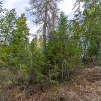 0 Lot 30 E North park Lane, Deer Park, WA 99006