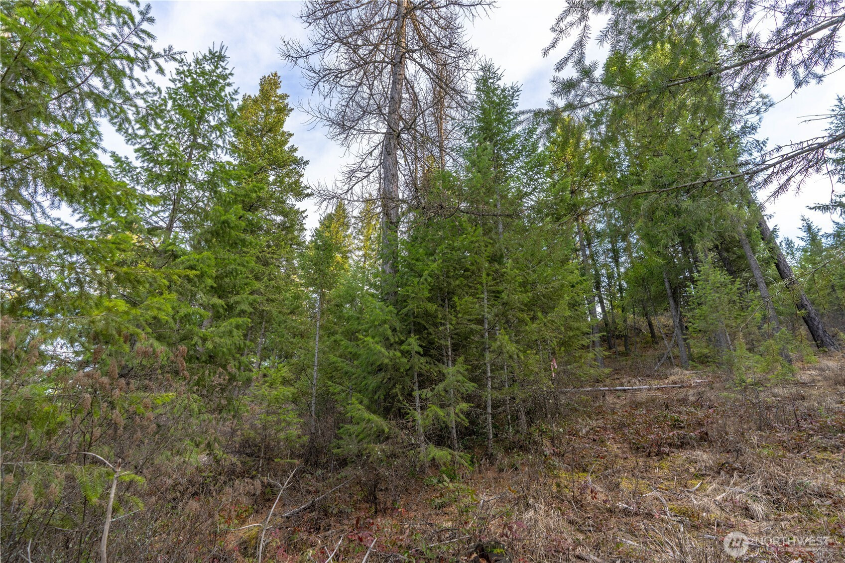 0 Lot 30 E North park Lane, Deer Park, WA 99006