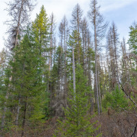 0 Lot 30 E North park Lane, Deer Park, WA 99006