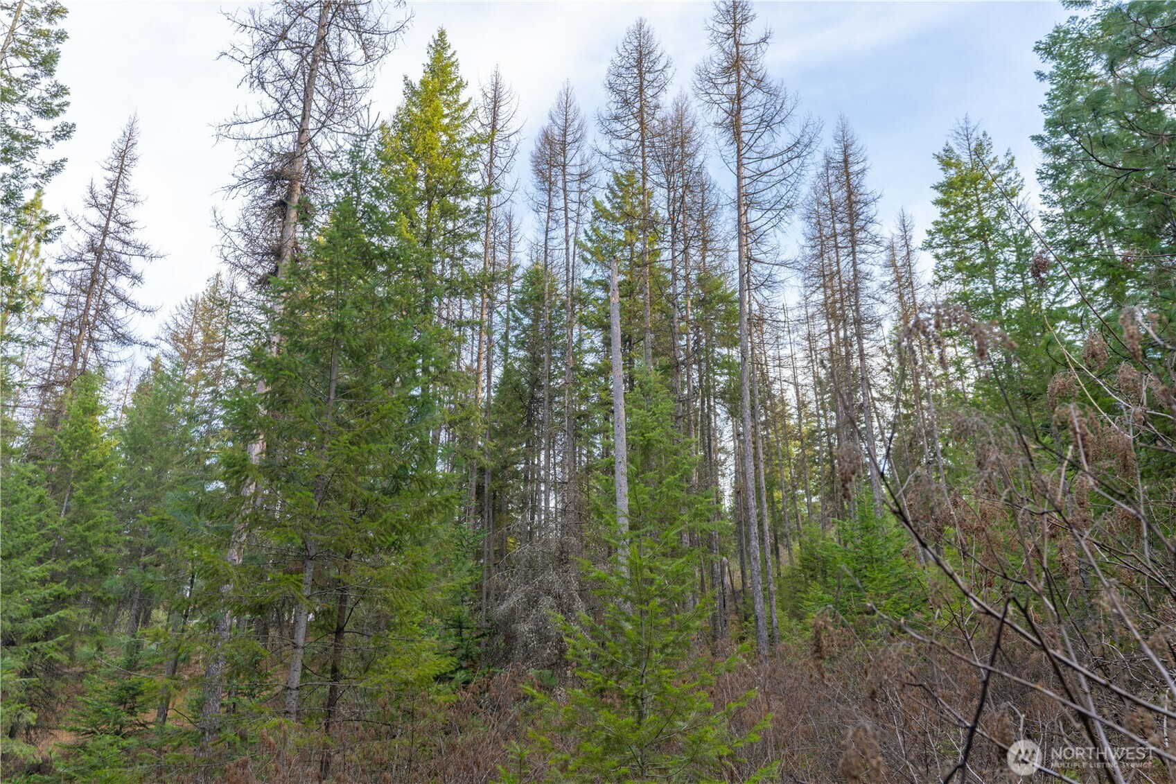 0 Lot 30 E North park Lane, Deer Park, WA 99006