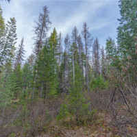 0 Lot 30 E North park Lane, Deer Park, WA 99006