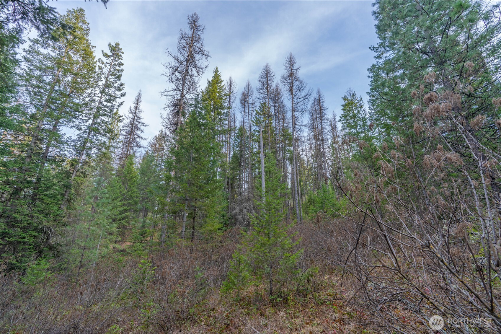 0 Lot 30 E North park Lane, Deer Park, WA 99006