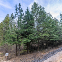 0 Lot 30 E North park Lane, Deer Park, WA 99006