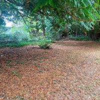 1315 N Lake Stickney Drive, Lynnwood, WA 98087