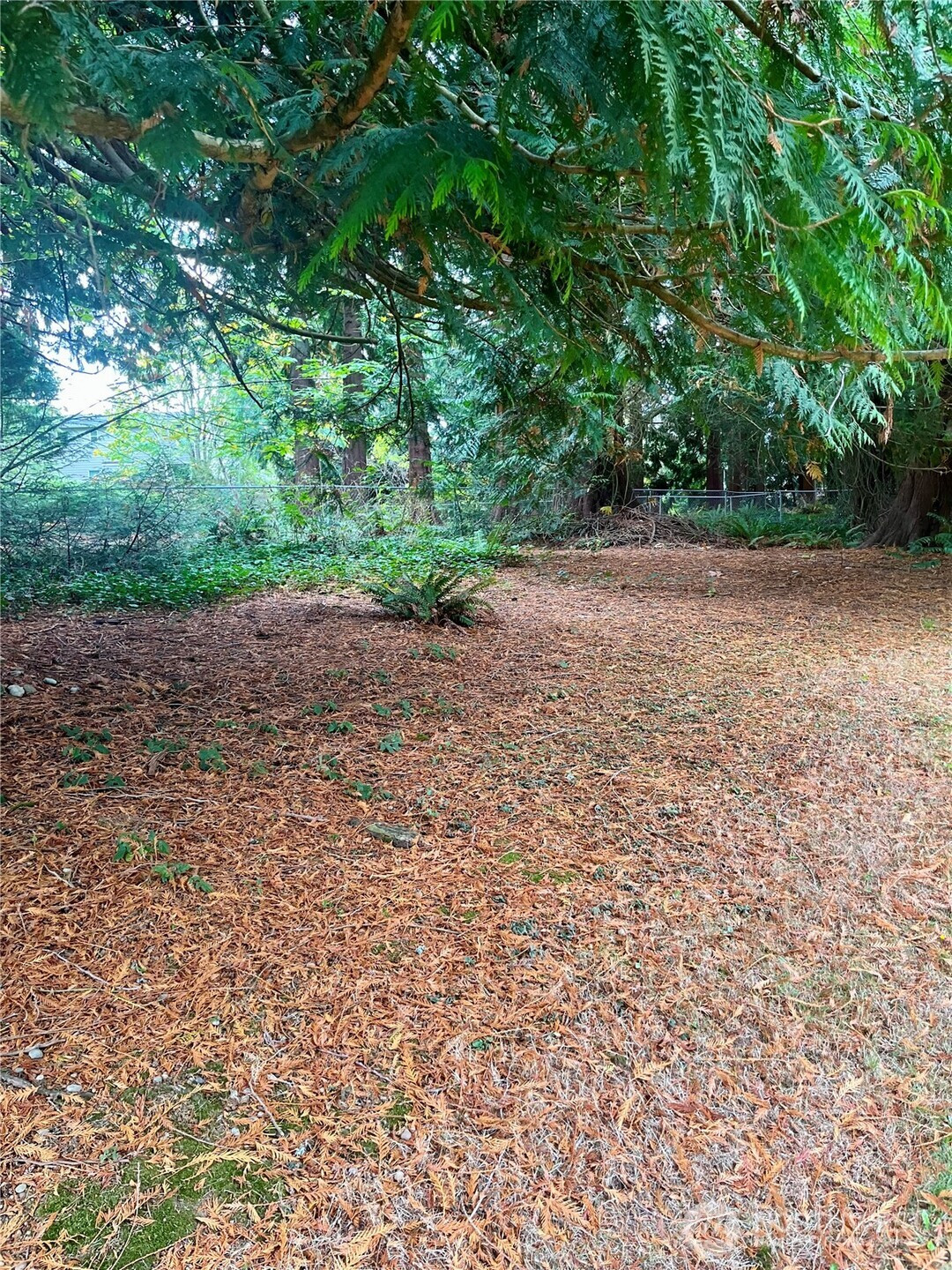 1315 N Lake Stickney Drive, Lynnwood, WA 98087