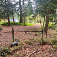 1315 N Lake Stickney Drive, Lynnwood, WA 98087