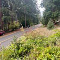 1315 N Lake Stickney Drive, Lynnwood, WA 98087