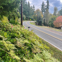 1315 N Lake Stickney Drive, Lynnwood, WA 98087