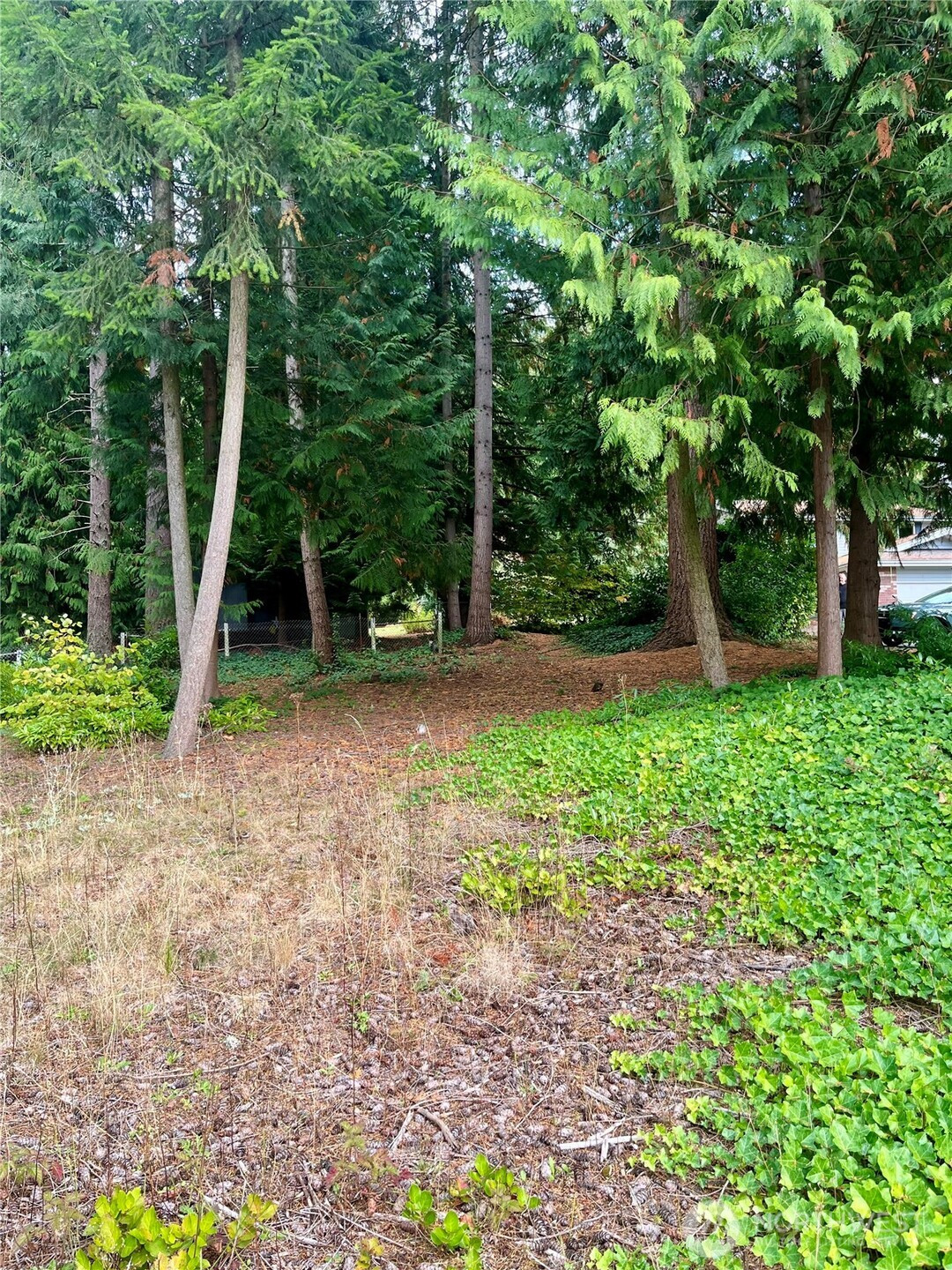 1315 N Lake Stickney Drive, Lynnwood, WA 98087