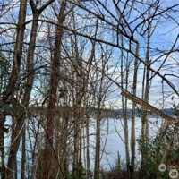 97 XX Arrowsmith Avenue S, Seattle, WA 98118