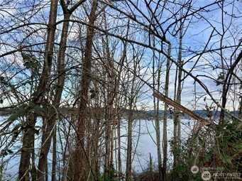 97 XX Arrowsmith Avenue S, Seattle, WA 98118