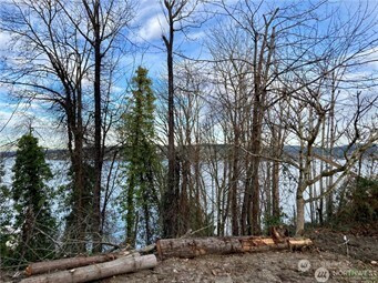 97 XX Arrowsmith Avenue S, Seattle, WA 98118