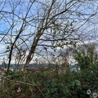 97 XX Arrowsmith Avenue S, Seattle, WA 98118