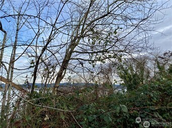 97 XX Arrowsmith Avenue S, Seattle, WA 98118