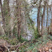 97 XX Arrowsmith Avenue S, Seattle, WA 98118