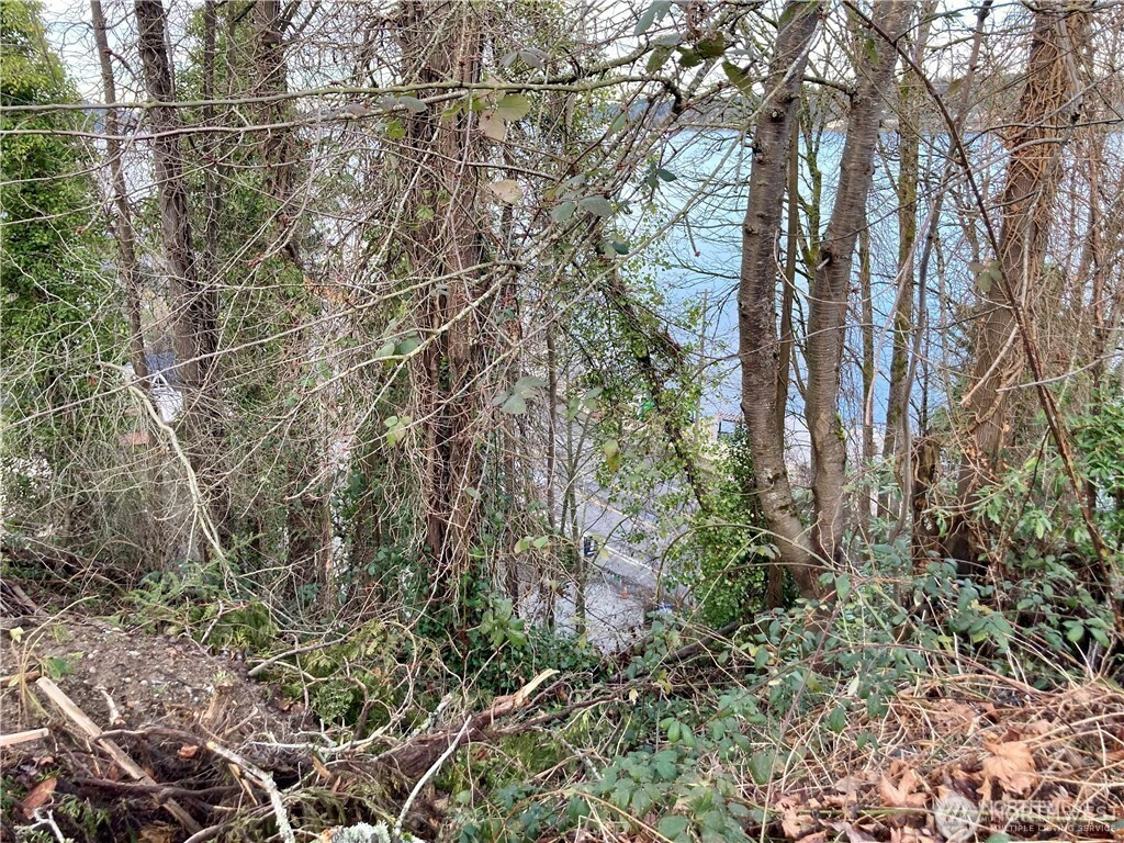 97 XX Arrowsmith Avenue S, Seattle, WA 98118